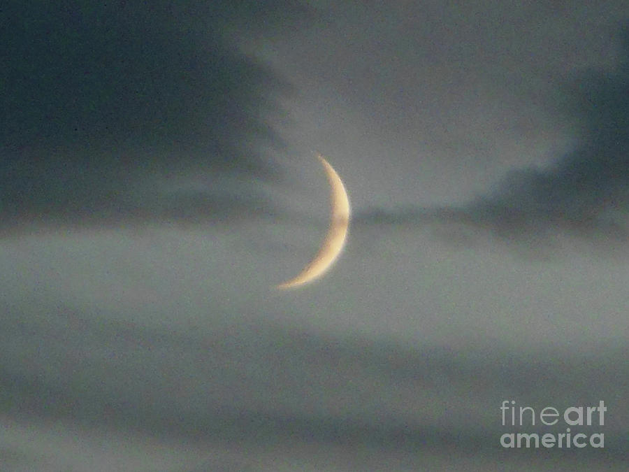 Waxing Crescent Moon Photograph by Rockin Docks Deluxephotos