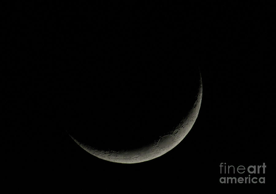 Waxing Crescent Phase Photograph by Dale Powell