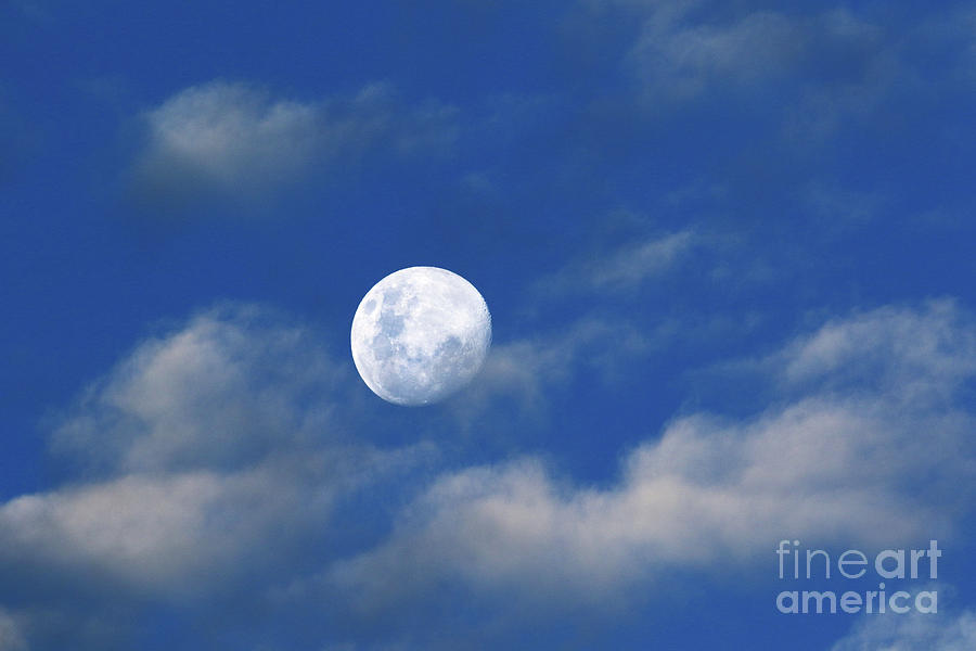 Waxing Gibbous Moon Skyscape Photograph by James Brunker
