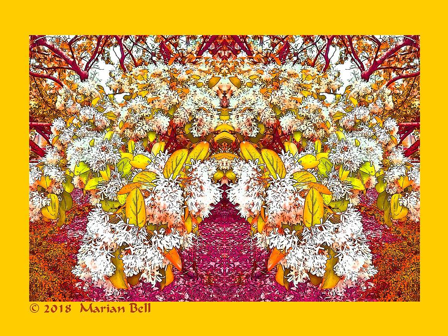 Flower Digital Art - Waxleaf Privet Blooms in Autumn Tones Abstract by Marian Bell