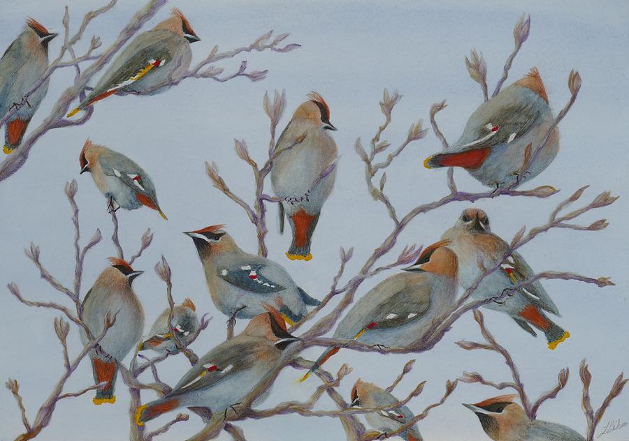 Asian Painting - Waxwings by Lisa Gibson Art Asian Painting - Waxwings by Lisa Gibson Art