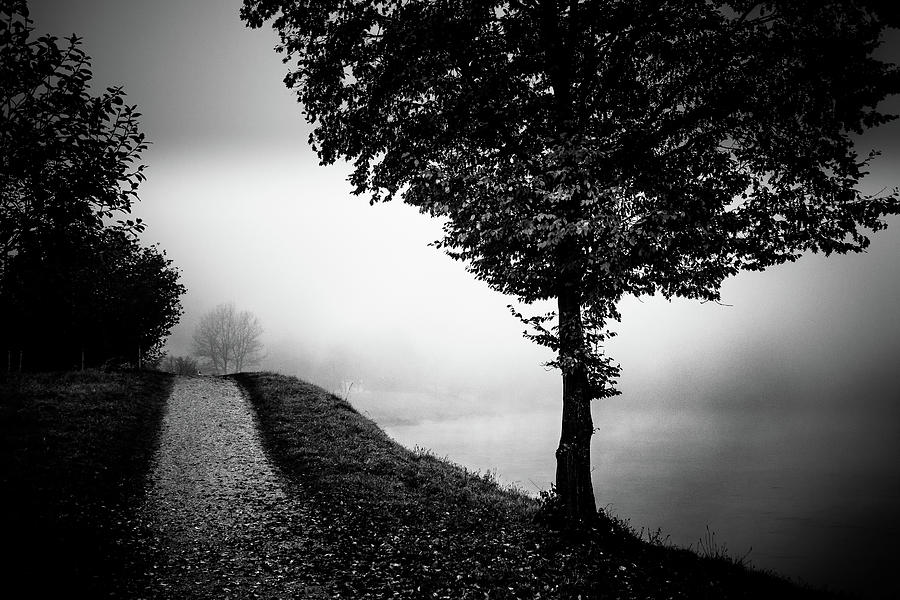 Way near the foggy river Photograph by Holger Debek - Fine Art America