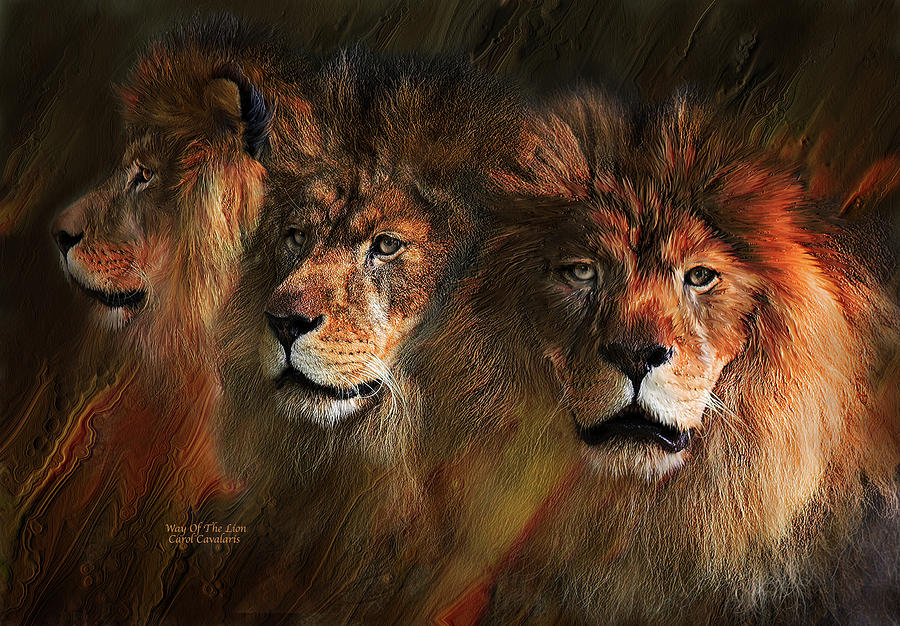Way Of The Lion Mixed Media by Carol Cavalaris