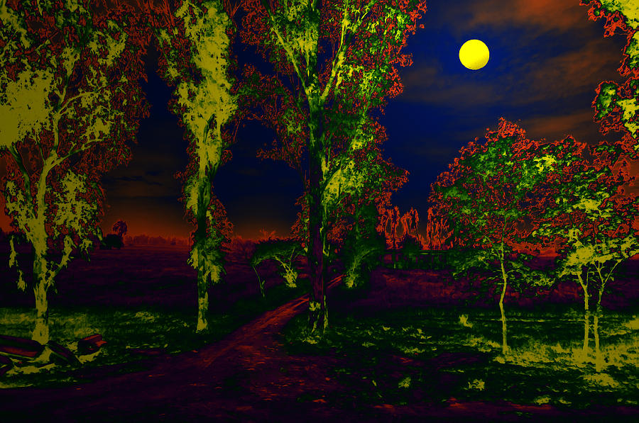 Nature Digital Art - Way to Nature by Bliss Of Art