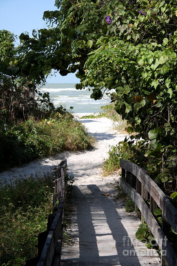 Nature Photograph - Way To The Beach by Christiane Schulze Art And Photography