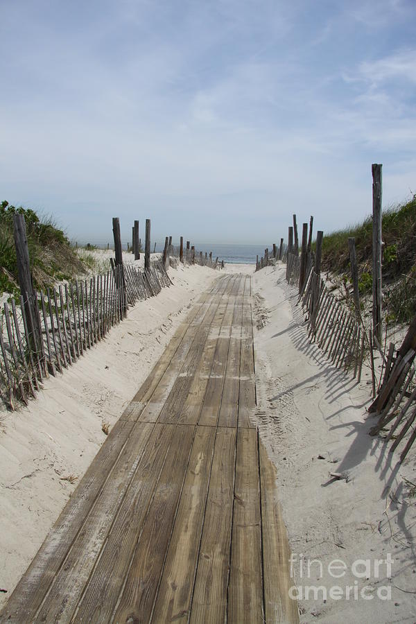 Way To The Beach #3 Photograph by Christiane Schulze Art And Photography