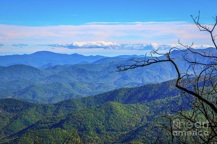 Wayah Bald Mountain View Photograph by Tom Claud