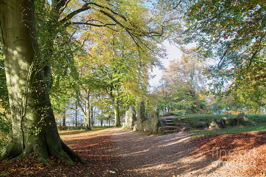 Waylands Smithy in Autumn Photograph by Tim Gainey