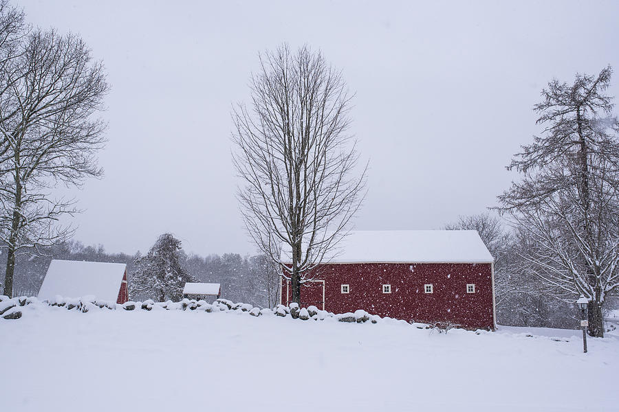 Wayside Inn Grist Mill Covered in Snow Storm 2 Photograph by Toby McGuire