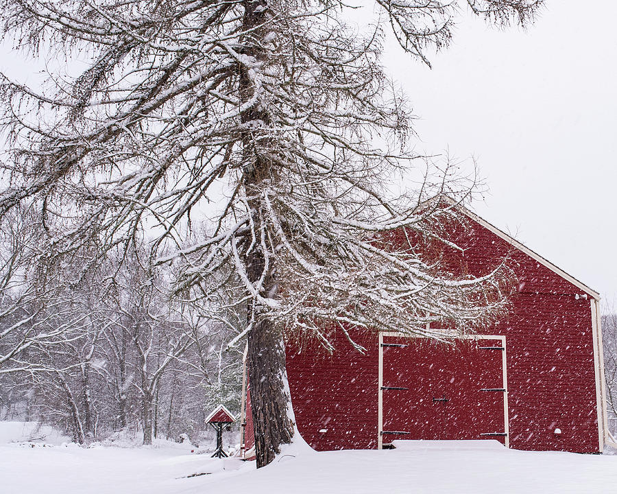 Wayside Inn Red Barn Covered in Snow Storm Reflection Photograph by Toby McGuire