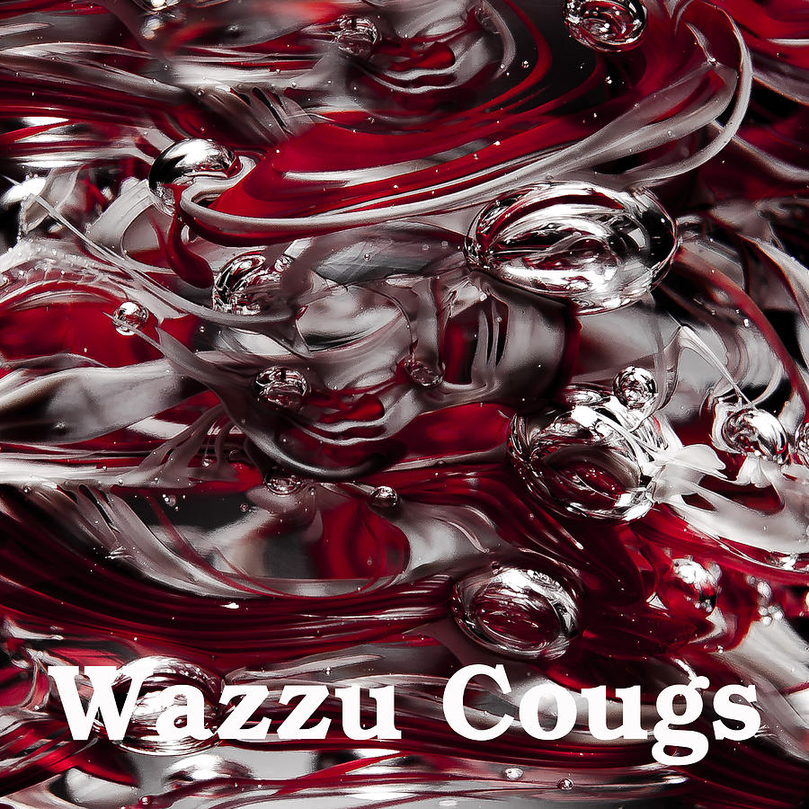 Wazzu Cougs Photograph by David Patterson