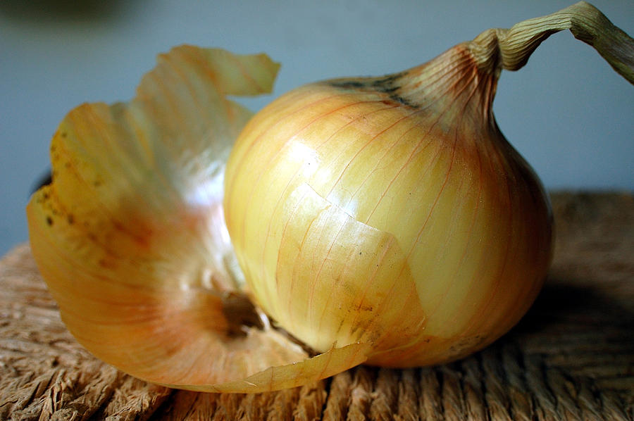 Onion Photograph - We All Have Layers by Heather S Huston