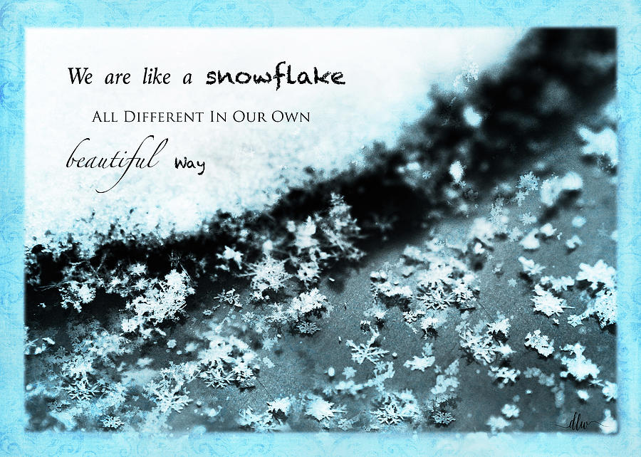 We Are a Snowflake Photograph by Dianna Lynn Walker