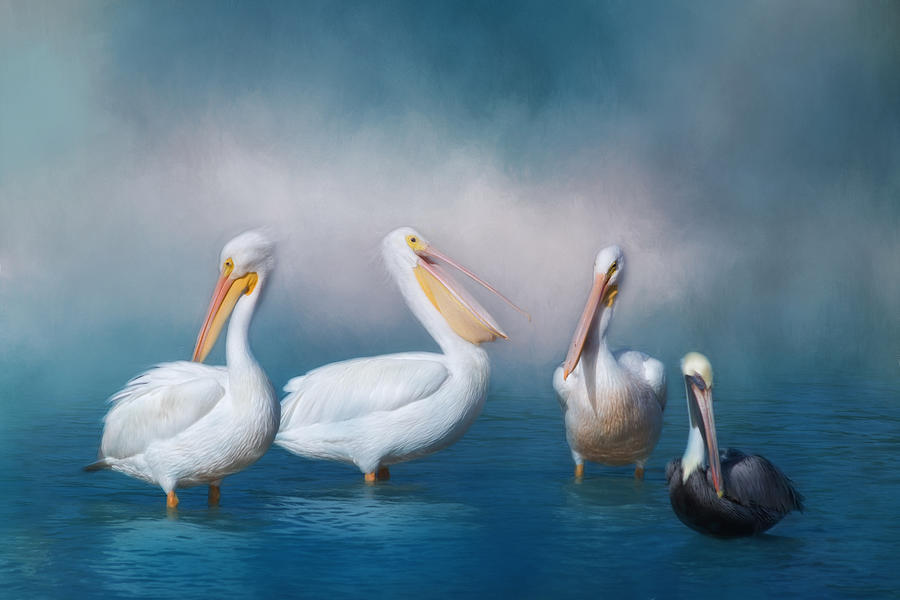 Pelican Photograph - We Are Family by Kim Hojnacki