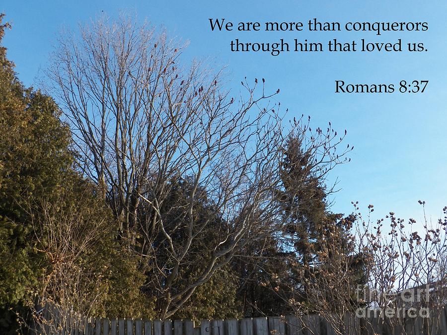 We Are More Than Conquerors Photograph by Corinne Elizabeth Cowherd
