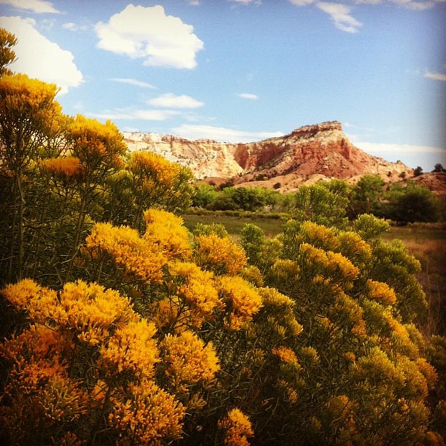 Desert Photograph - Ghost Ranch, New Mexico by Laurie White