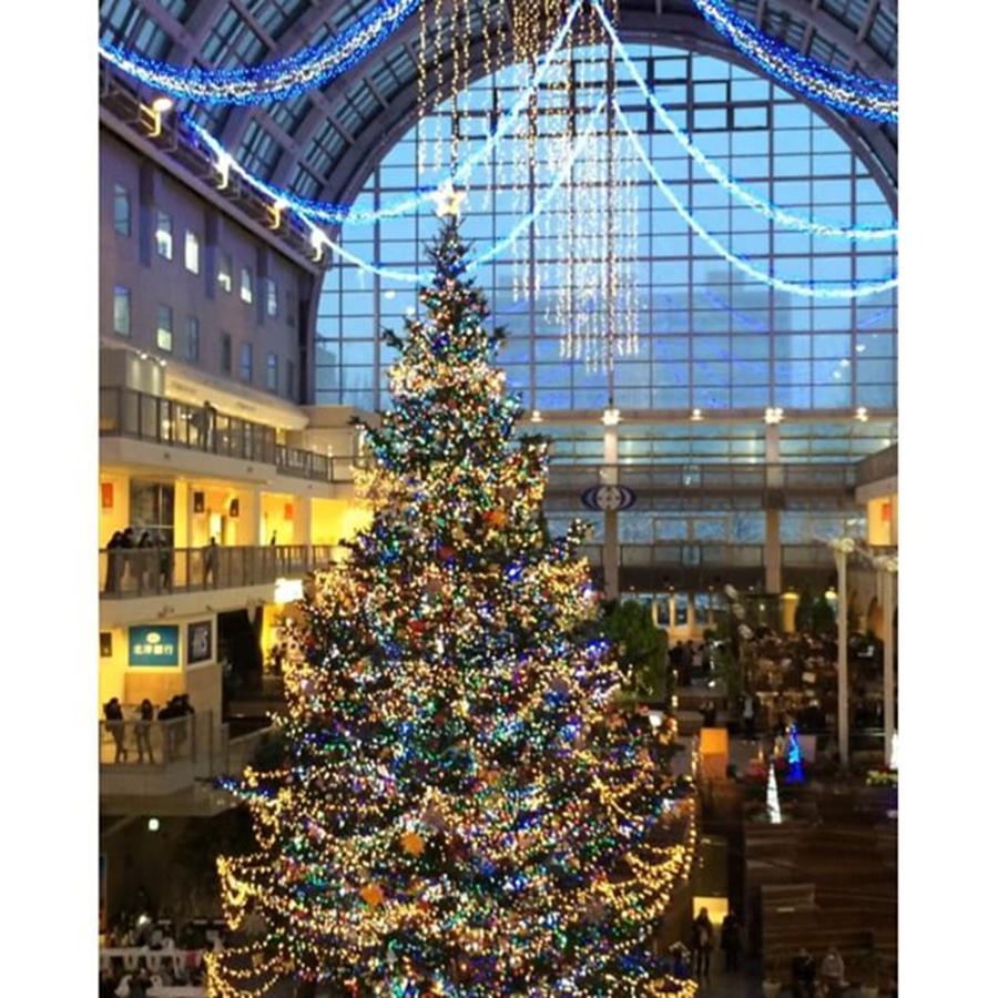 Christmastree Photograph - We Can See This Illumination Each by Natchan Chan