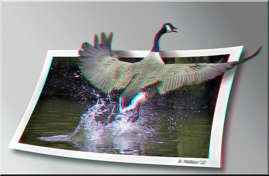 We Have Liftoff - Use Red-Cyan 3D glasses Photograph by Brian Wallace