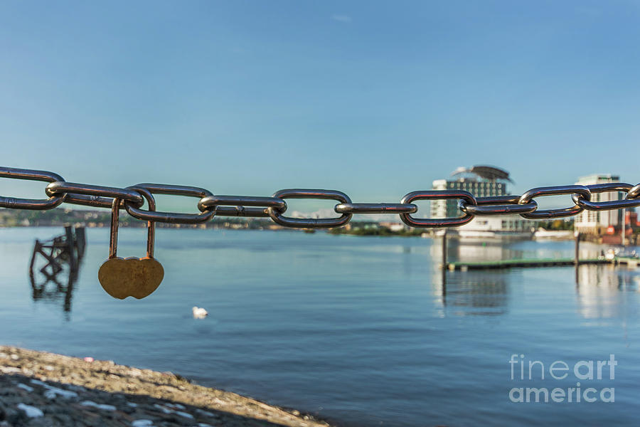 We Love Cardiff Bay Photograph by Steve Purnell