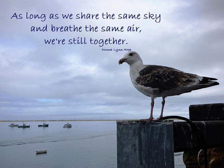 We Share the Same Sky Card Photograph by Sharon Williams Eng
