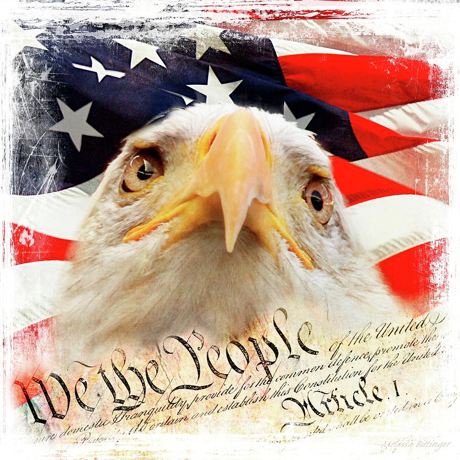 We The People, Eagle and American Flag Photograph by Melissa Bittinger