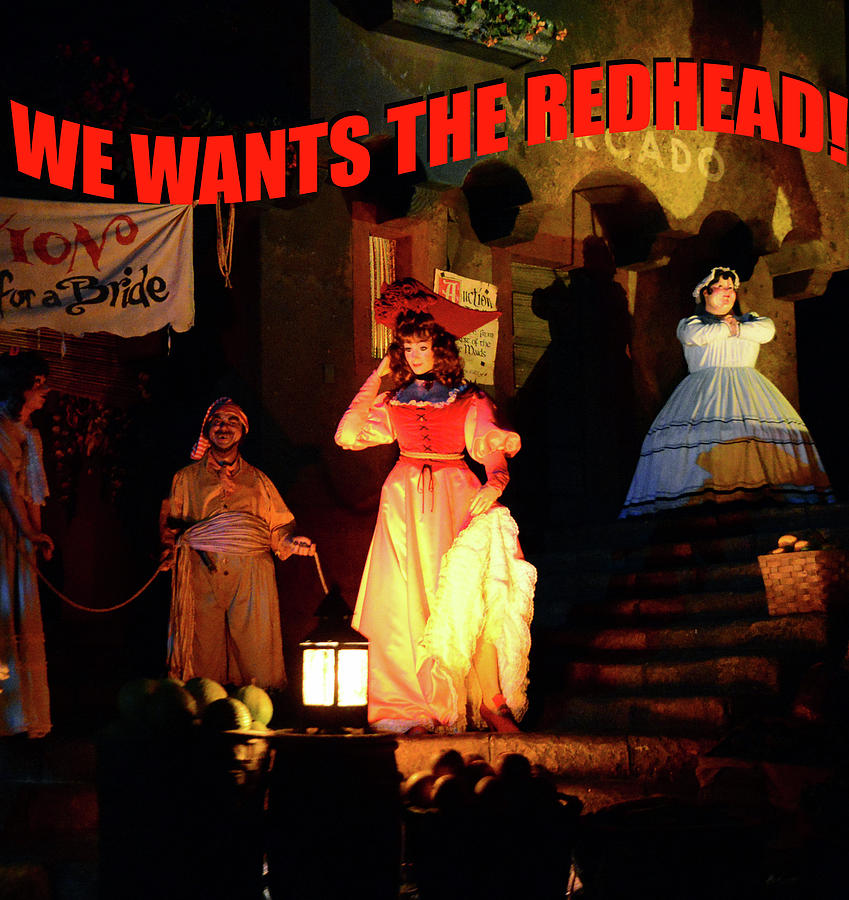 We Wants The Redhead Photograph by David Lee Thompson