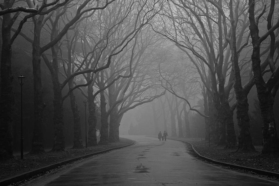 Fog Photograph - We Will Guide You, Kid by Marcin Delektowski