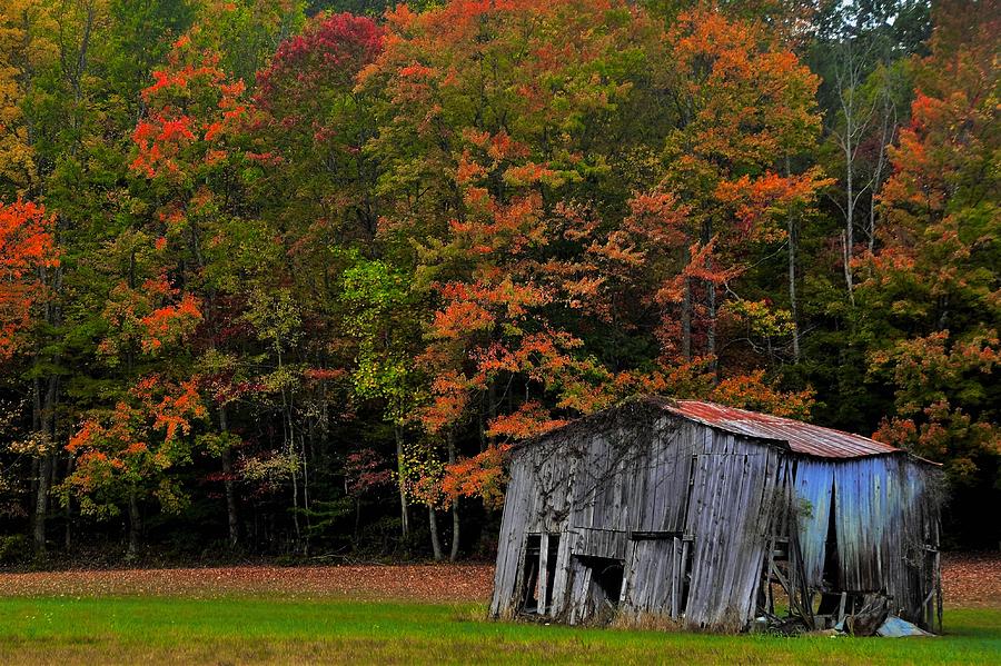 Fall Photograph - Wears Valley Barn 2 by Dennis Nelson