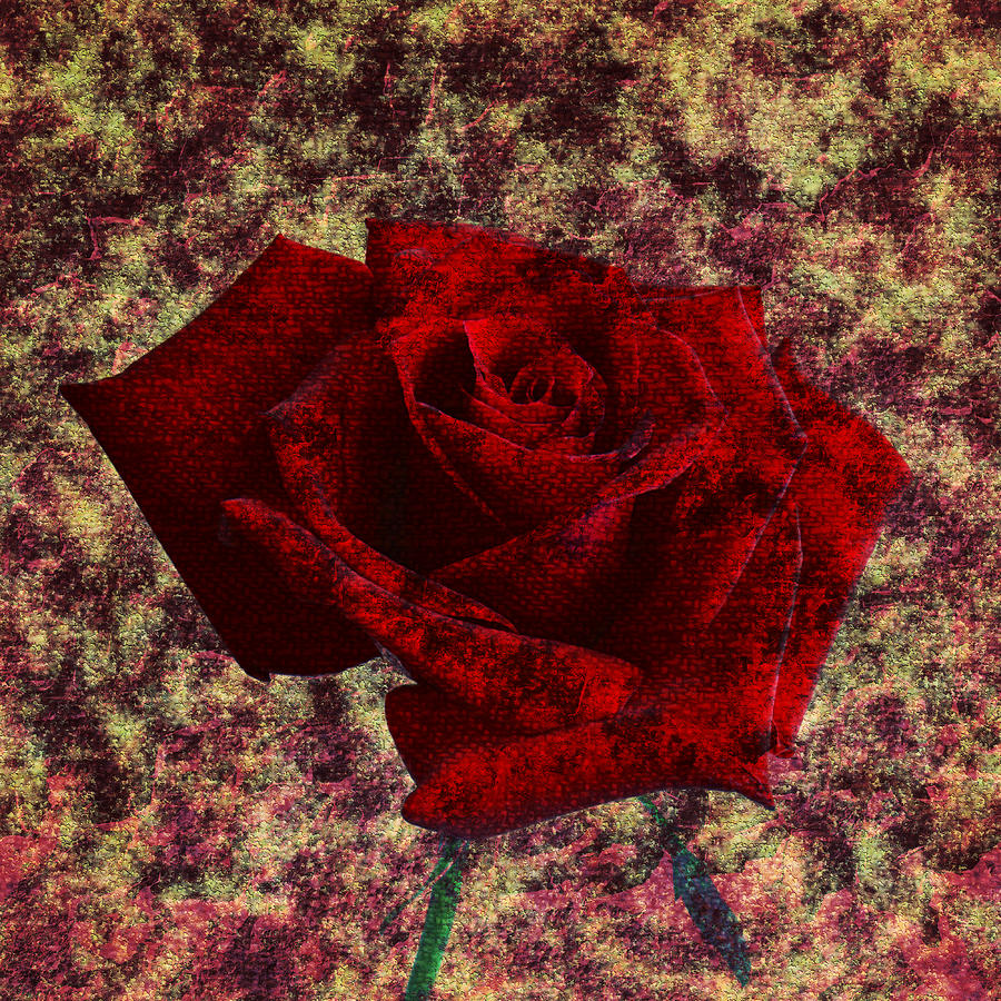 Weary Worn Rose Digital Art by Ally White