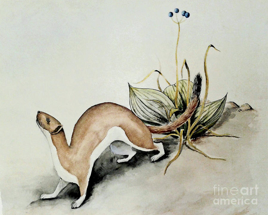 Weasel and Snake Berry Painting by Art MacKay