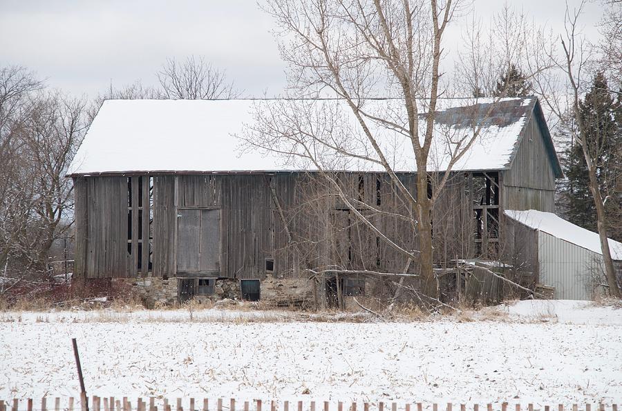 Weather Beaten Barn Photograph by Greg Hayhoe - Fine Art America