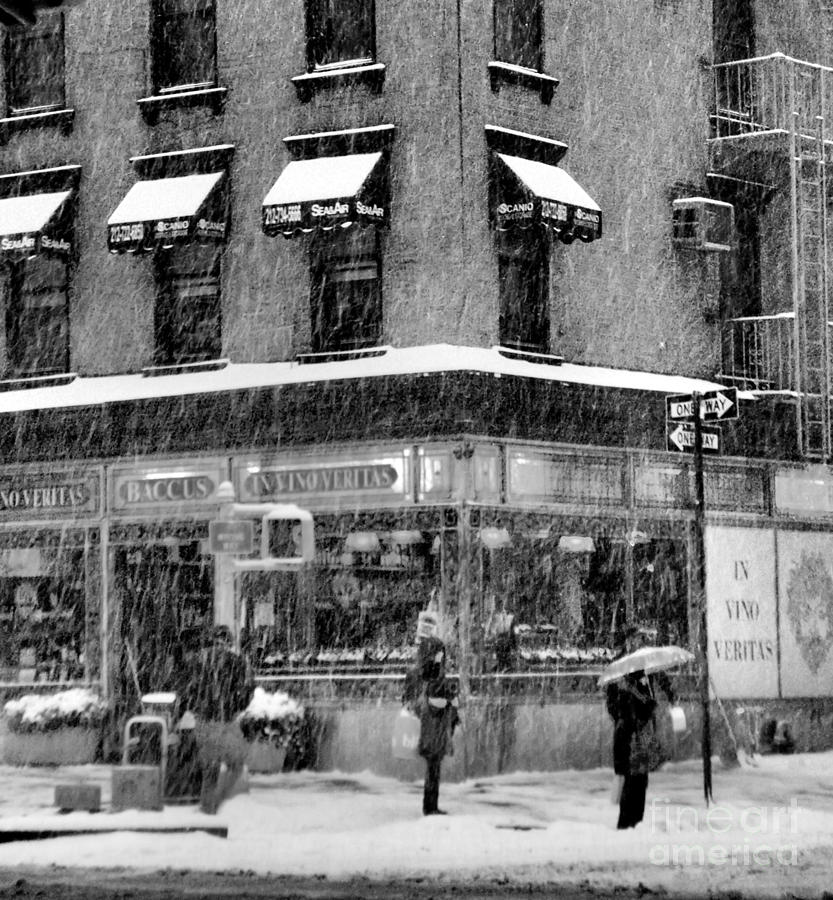 Weather or Not - We Are Going Out - Winter in New York Photograph by Miriam Danar