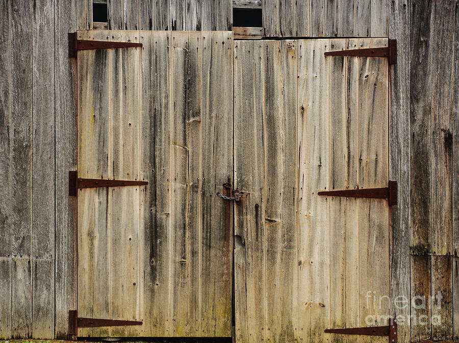 A New Old Door Photograph by Lexa Harpell
