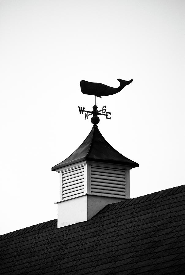 Weather Vane, Nantucket.    Black And White Photograph