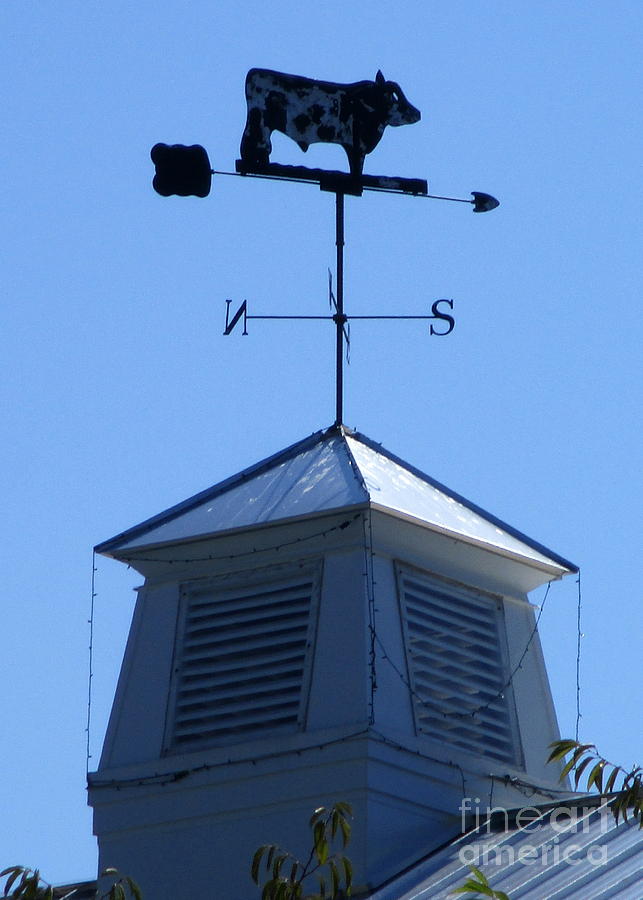 Weather Vane Photograph by Randall Weidner