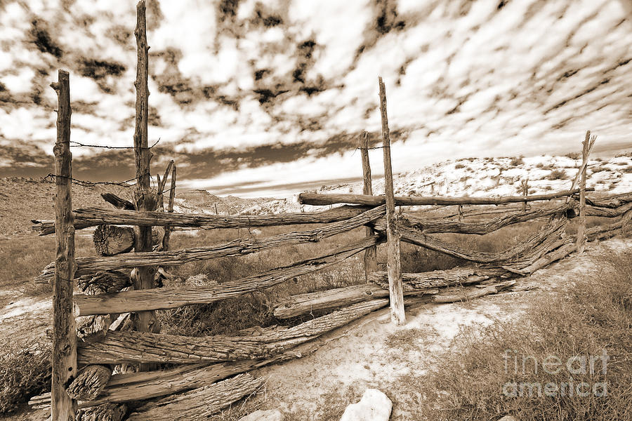 Weather Worn Fence in sepia Photograph by Mary Haber
