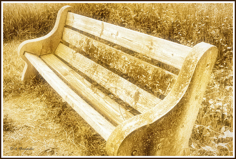 Weatherbeaten Wooden Bench Photograph by A Macarthur Gurmankin