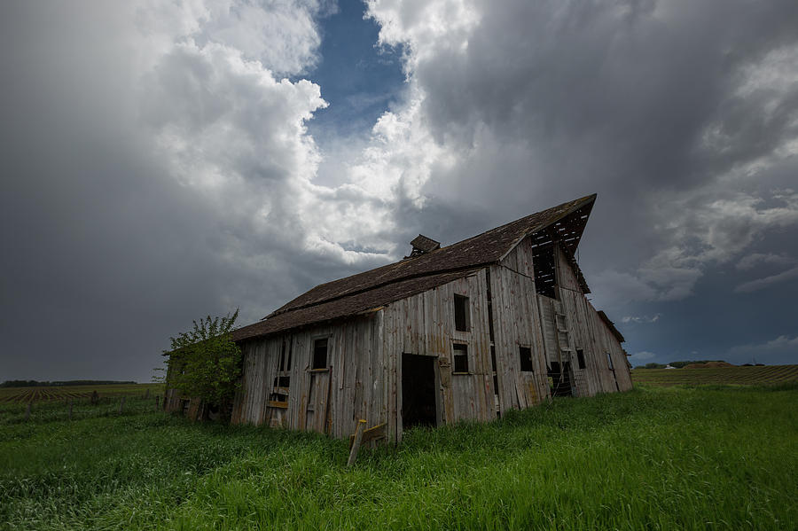 Weathered 2 Photograph by Aaron J Groen