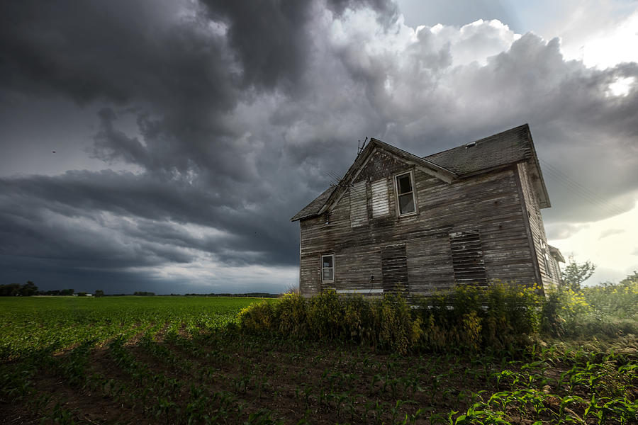 Weathered 6  Photograph by Aaron J Groen