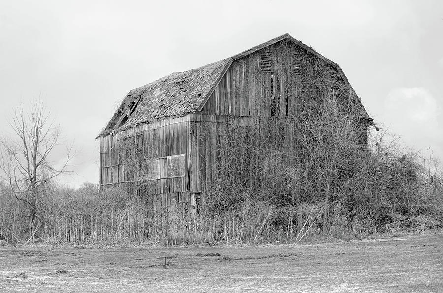 Weathered Barn Photograph by Ann Bridges