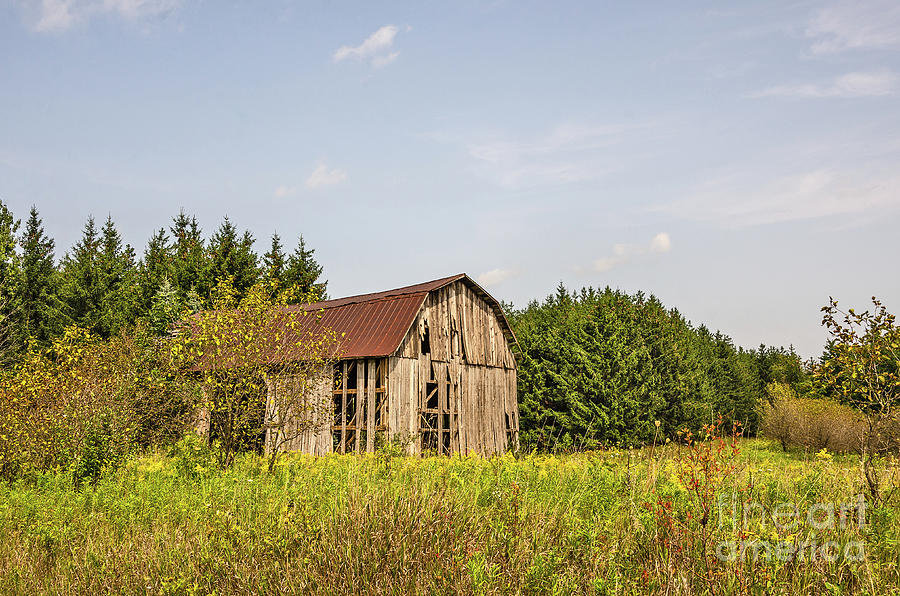 Weathered Barn Basking in the Summer Sun Photograph by Sue Smith