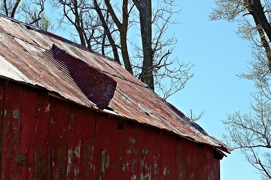 Weathered Barn Roof- Fine Art Photograph by KayeCee Spain