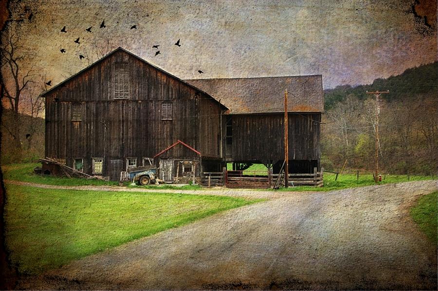 Bird Photograph - Weathered Barn by Stephanie Calhoun