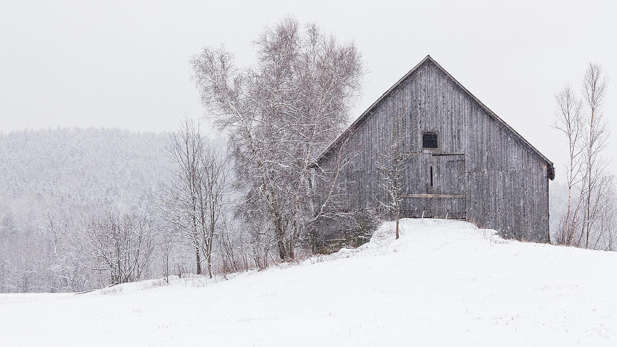 Weathered Barn Winter Photograph by Alan L Graham