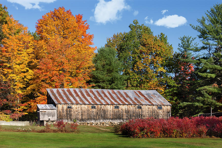 Fall Photograph - Weathered Barn with Rusty Tin Roof by Betty Denise
