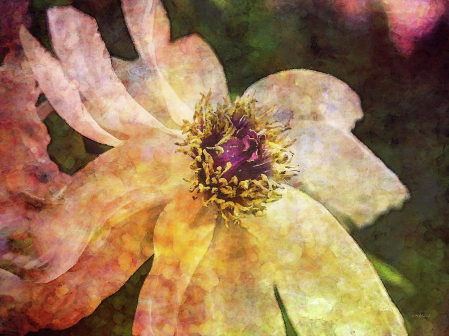 Weathered Beauty 9827 IDP_2 Photograph by Steven Ward