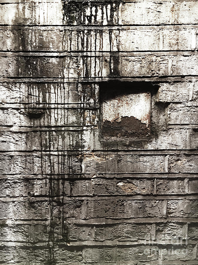 Weathered brick wall Photograph by Tom Gowanlock