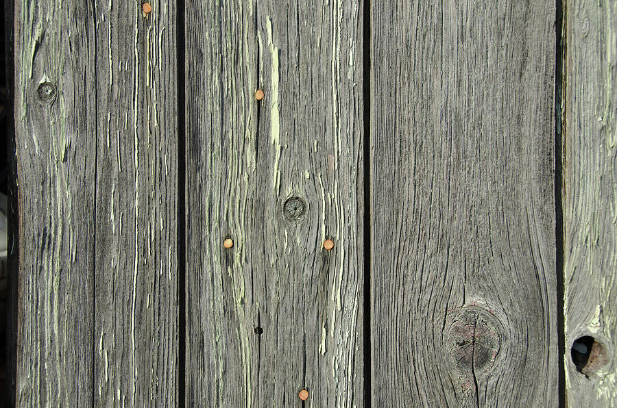 Weathered door closeup Photograph by Debra Baldwin
