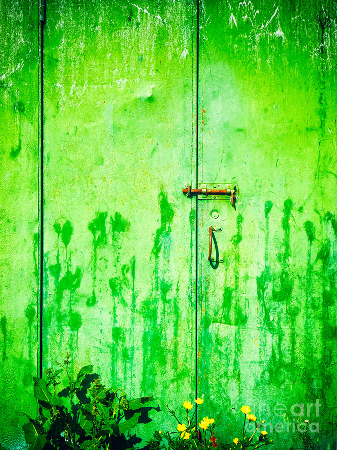 Weathered door with flowers Photograph by Silvia Ganora