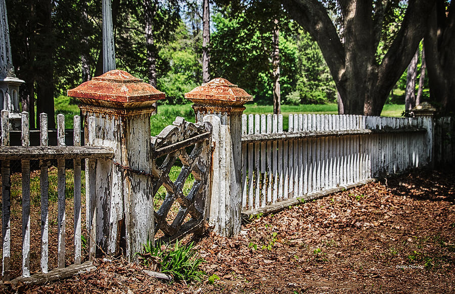 Weathered Photograph - Weathered Estate Gate by Betty Denise